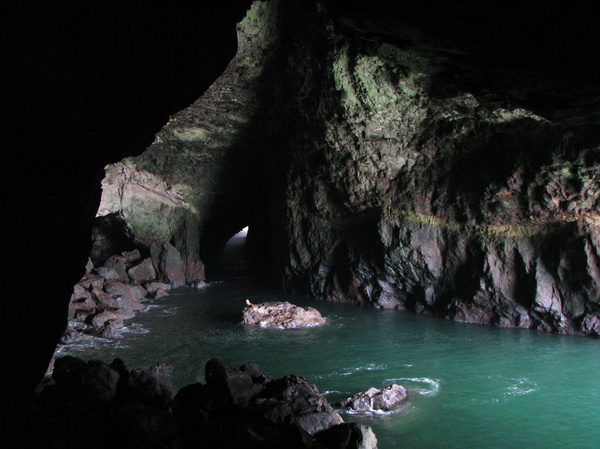 Sea Lion Cave