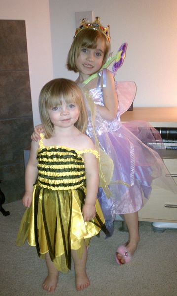 Fairy and the Bee