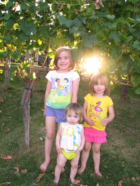 Vineyard Girls