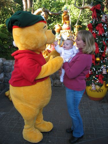 Winnie the Pooh