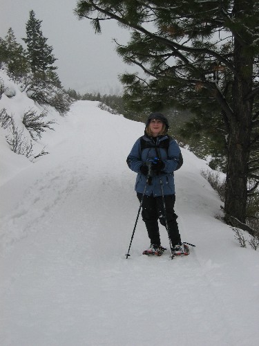On the Zoom Trail