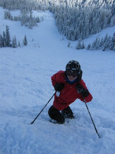 Looking Down Puma Bowl