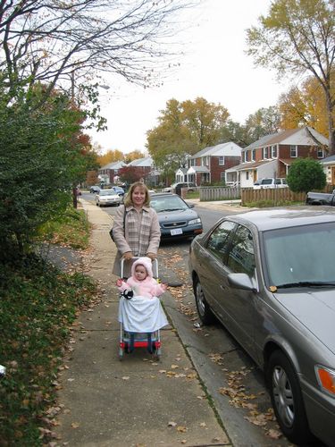 Strolling Through Alexandria