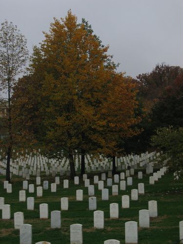 Arlington National Cemetary