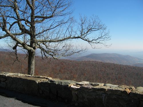 Shenandoah National Park