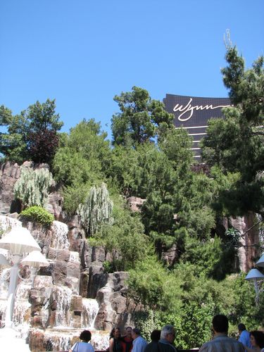 The Wynn Resort