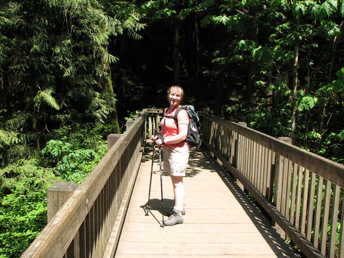 Hiking Back