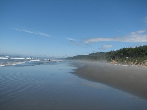 Northern View