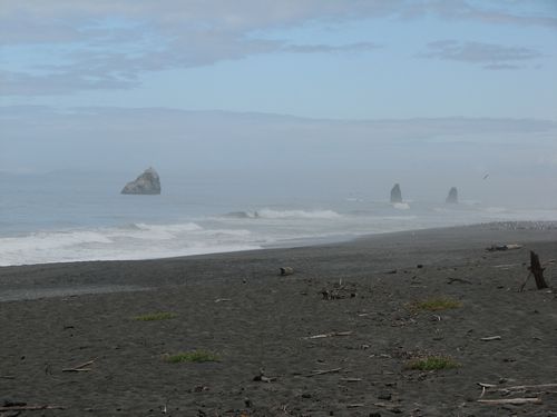 Redwood Coast