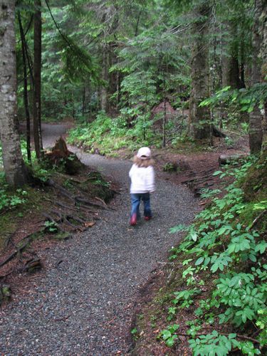 Little Hiker