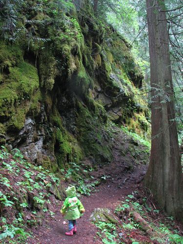 Mossy Wall