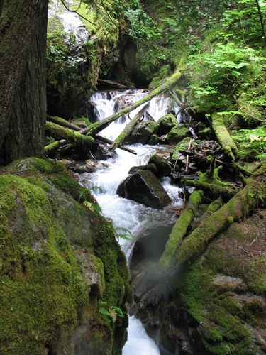 Goat Falls