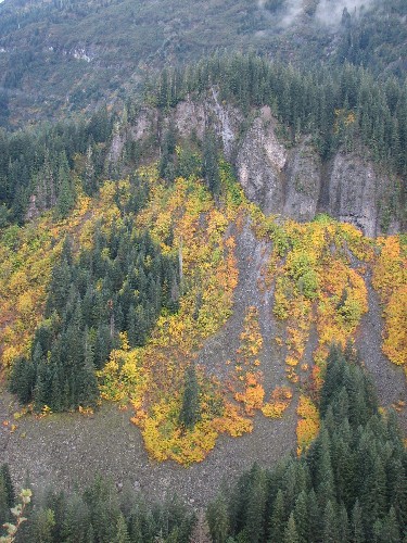 Stevens Canyon Colors