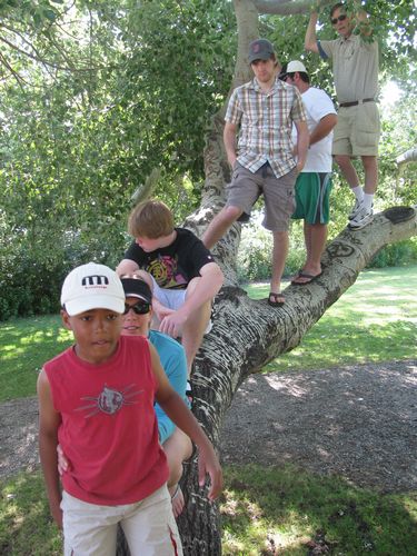 Family Tree