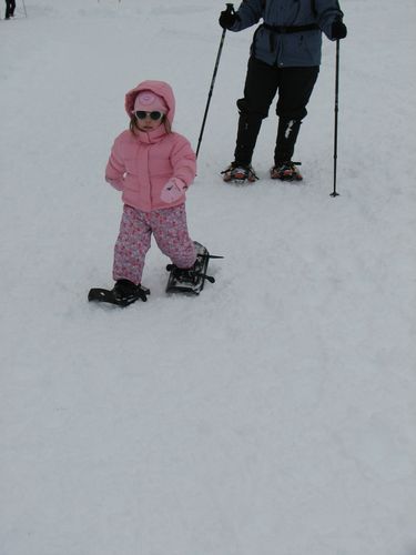 Snowshoe Natural