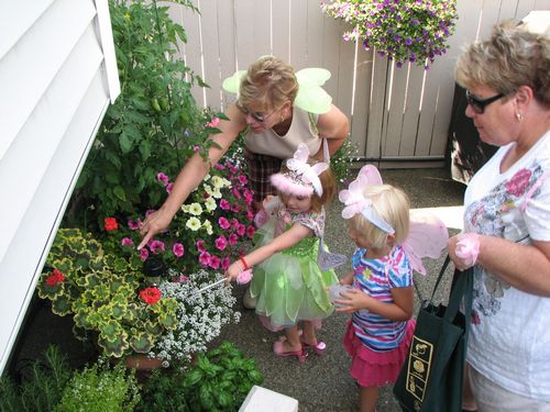 Finding Fairies