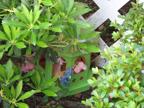 Fairy House