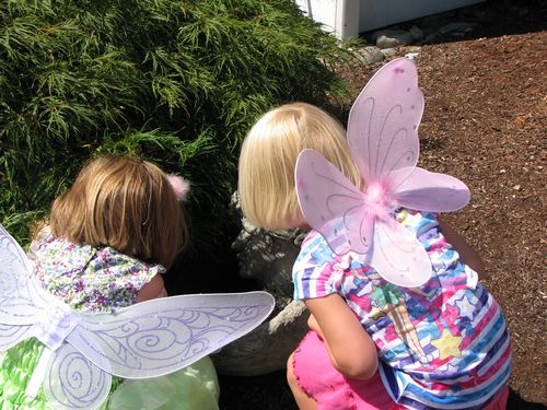 Finding Fairies