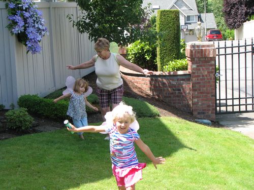 Fairy Flight