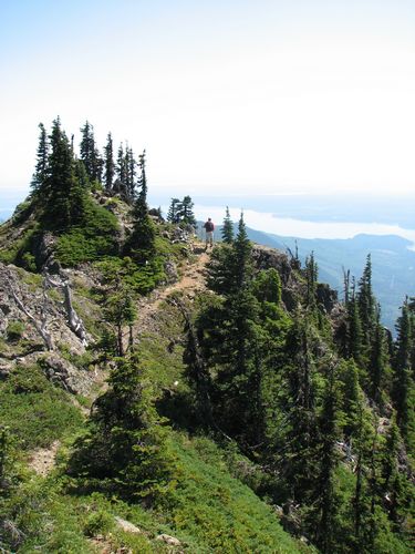 Hiking Back
