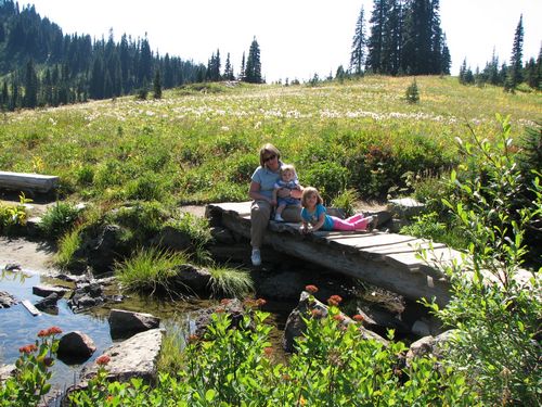 Tipsoo Lake Bridge