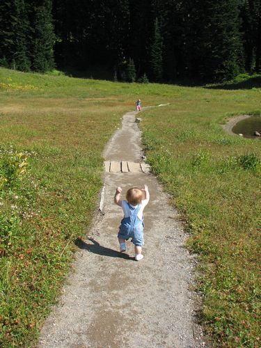 Little Hiker