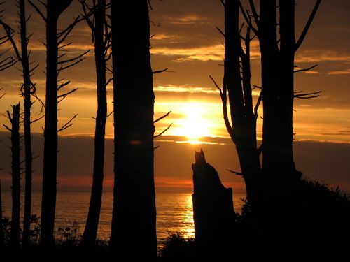 Kalaloch Sunset
