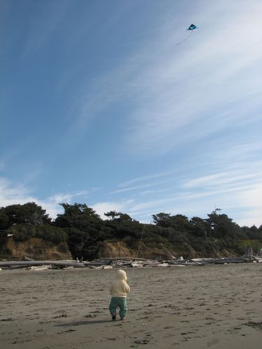 Lily and Her Kite