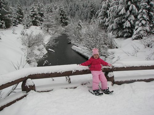 Gold Creek