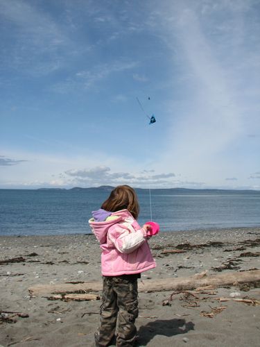 Kite Attempt