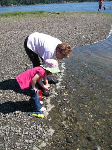 Exploring the Shore