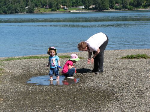 Looking for Crabs