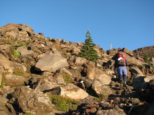 Starting Up Monitor Ridge