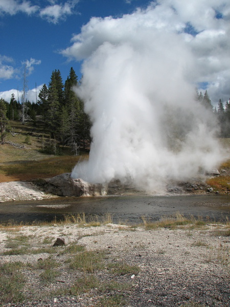 Riverside Geyser