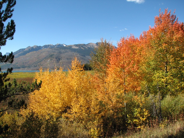 Fall Colors
