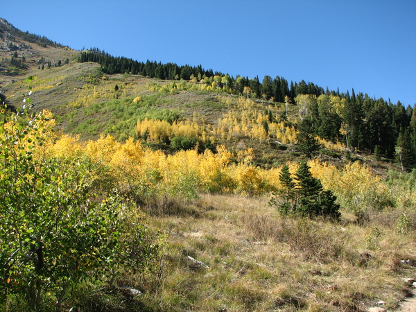 West of String Lake