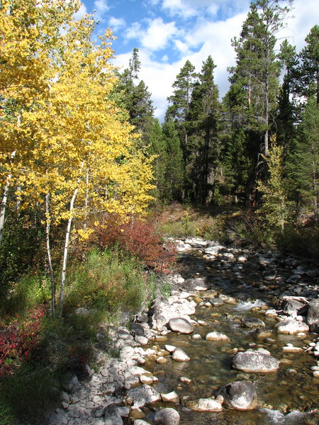 Lake Creek