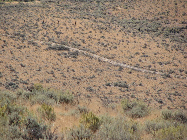 Oregon Trail