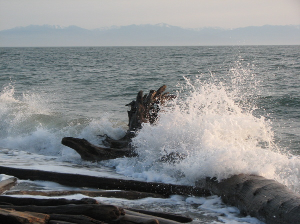 Waves