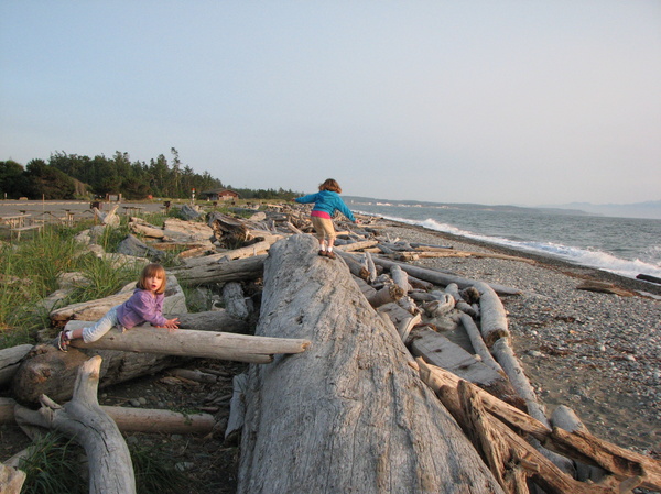 Playing on the Driftwood