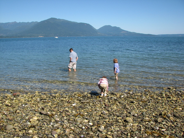 Wading in the Shore