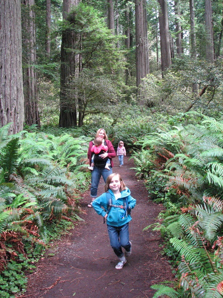 Ladybird Johnson Grove Trail