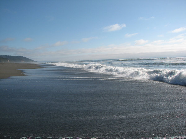 Gold Bluffs Beach Waves