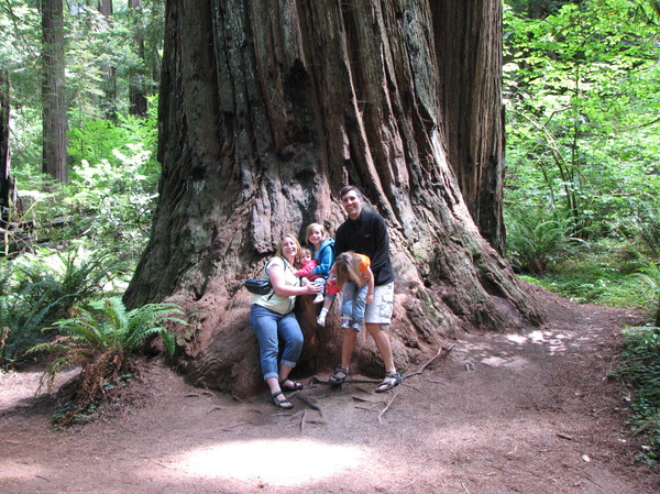 Stout Grove