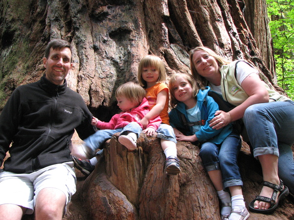 Stout Grove