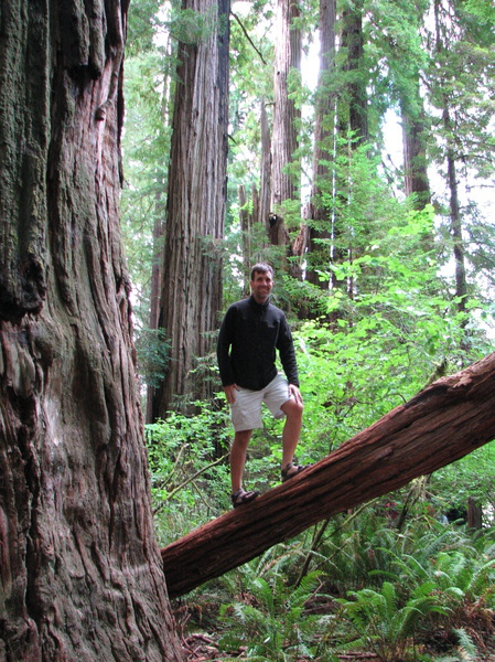 Stout Grove