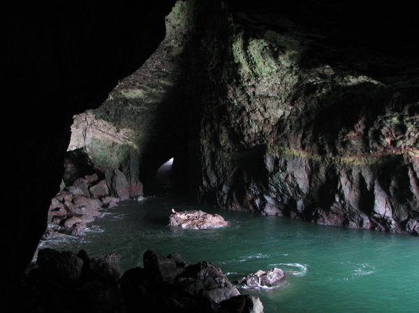 Sea Lion Cave