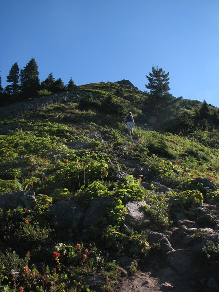 Nearing the Summit