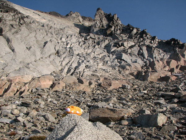 Nearing the False Summit