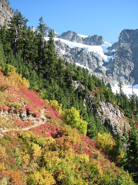 Trail to Lower Curtis Glacier